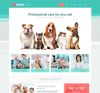 splash_home_vet