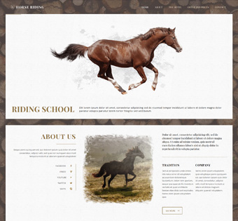 splash_home_horse