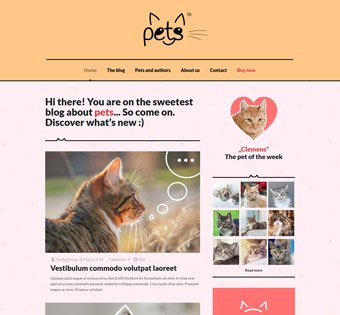 splash_home_pets