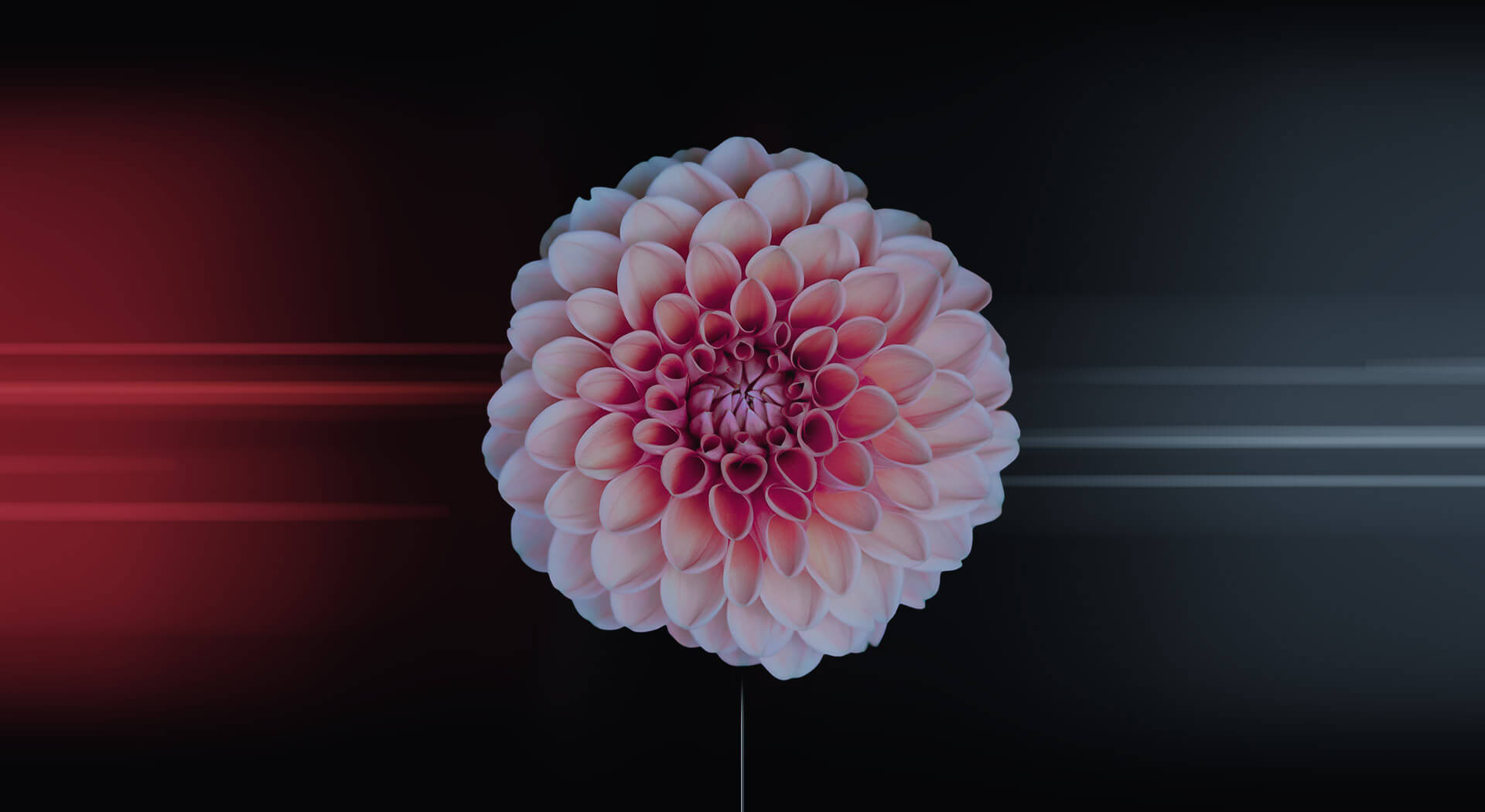 parallax background