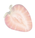 Shape